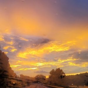 Meet your Posher, Connie